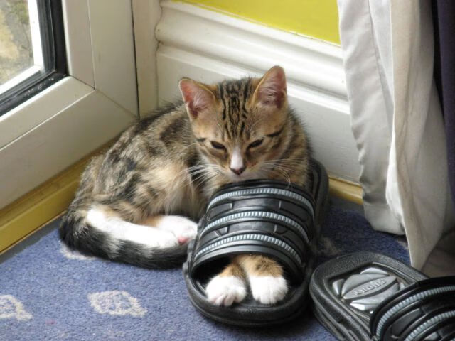 滑行效率数据提升背后的训练秘诀，滑行工具有哪些