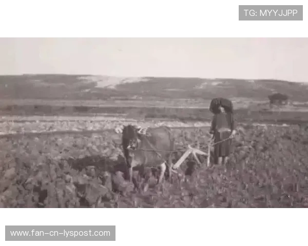 梅州客家连续突破迫使对方持续退守