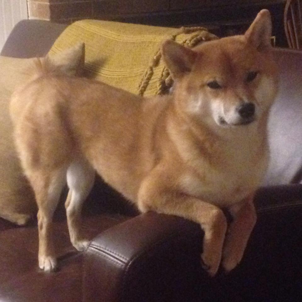 城市马拉松倡导绿色健康生活，城市马拉松活动策划方案