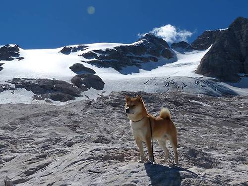 赫罗纳利用快速渗透撕裂防线体系，赫罗纳利用快速渗透撕裂防线体系的原因是